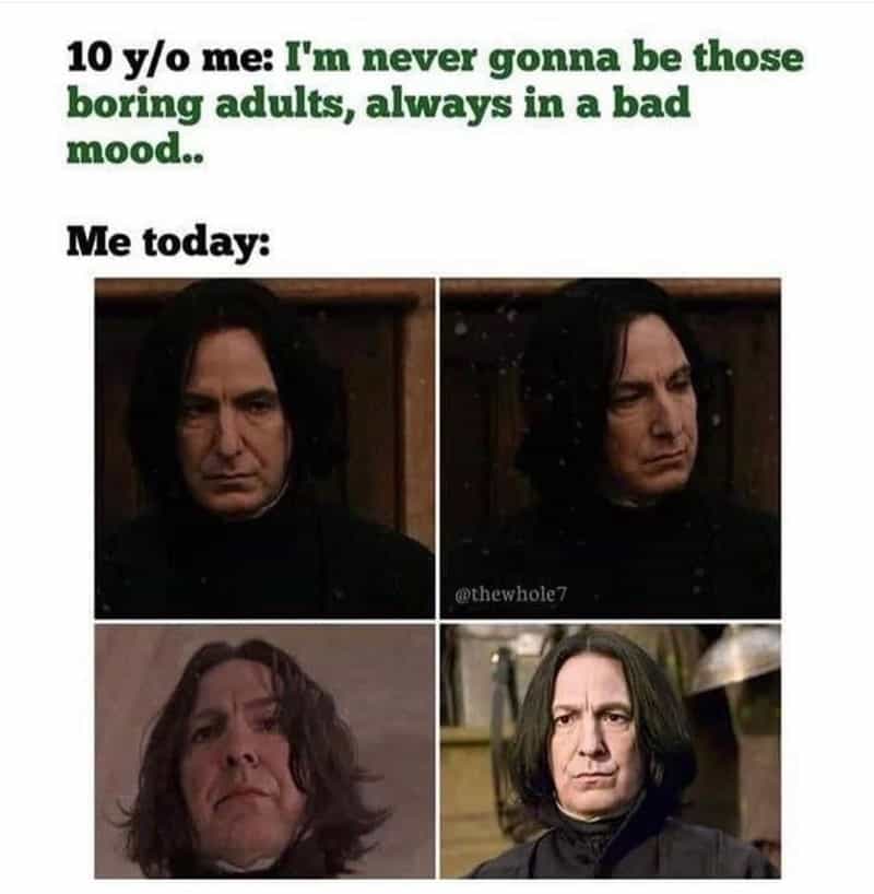 Harry Potter Memes Part 27 