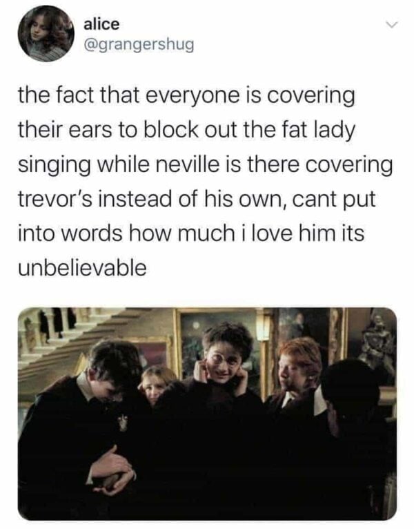 30 Harry Potter Memes That Are Better Than the Second (And Worst