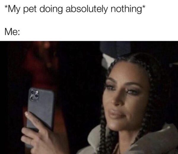 25 Relatable Memes That Hit Way Too Close To Home