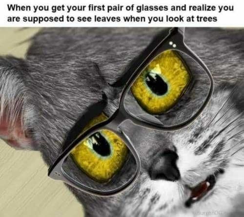 30 Relatable memes that are too funny and too true