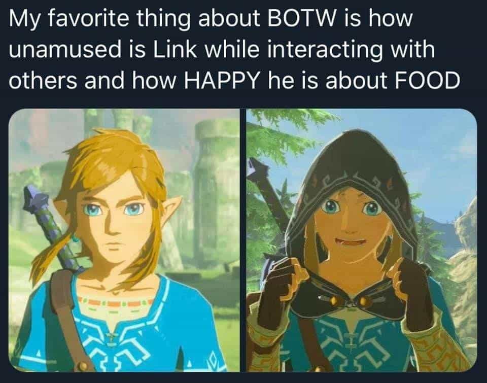 My favorite thing about BOTW is how unamused is Link while interacting with others and how HAPPY he is about FOOD