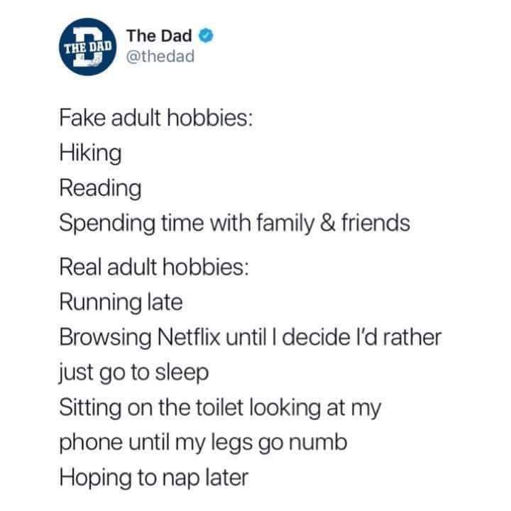 Real adult hobbies