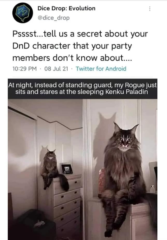 funny d&d memes