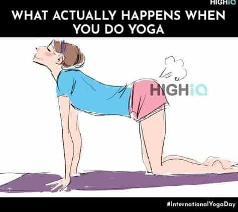 https://thunderdungeon.com/wp-content/uploads/2023/08/yoga-memes-12.jpg
