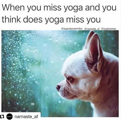 Yoga Memes to Read While You Pretend You're Not Napping in Child's Pose