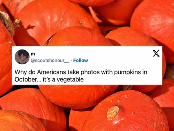 american halloween memes Why do Americans take photos with pumpkins in October... it's a vegetable