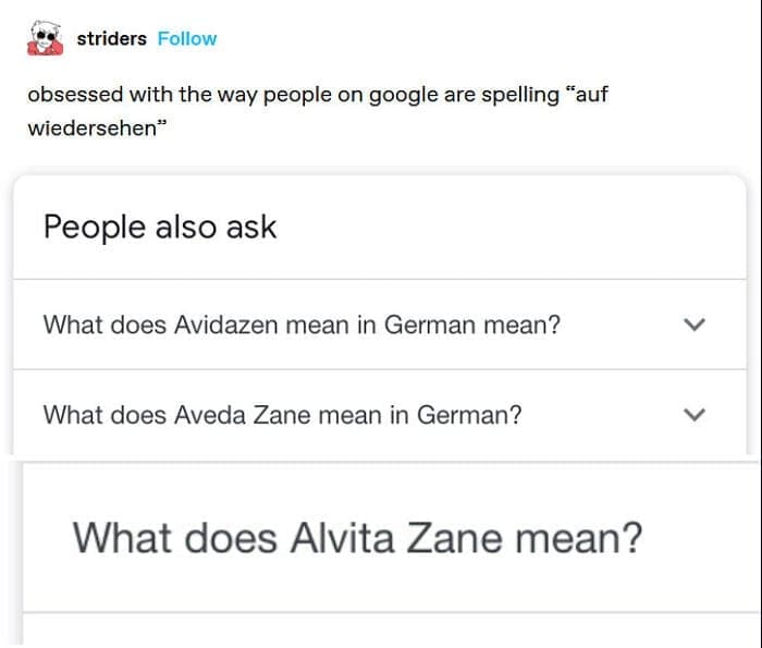 Americans and europeans roasting obsessed with the way people on google are spelling "auf wiedersehen" People also ask What does Avidazen mean in German mean? What does Aveda Zane mean in German? ~ What does Alvita Zane mean?