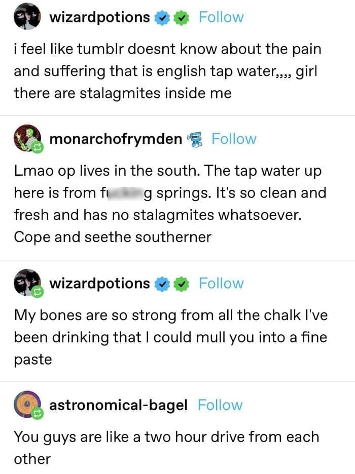 Americans and europeans roasting