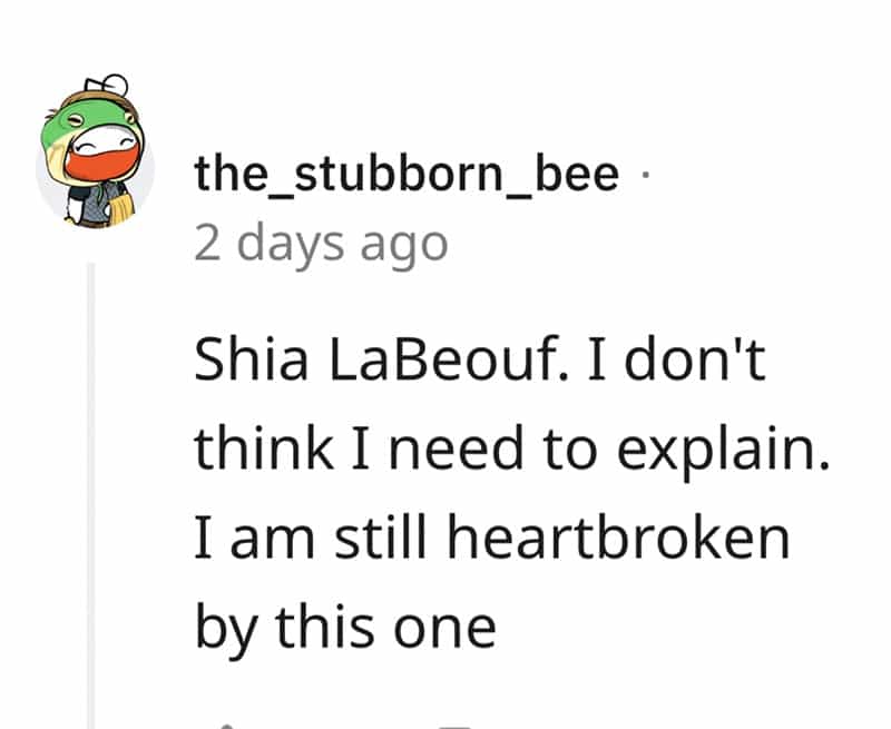 Shia LaBeouf. I don't think I need to explain. I am still heartbroken by this one