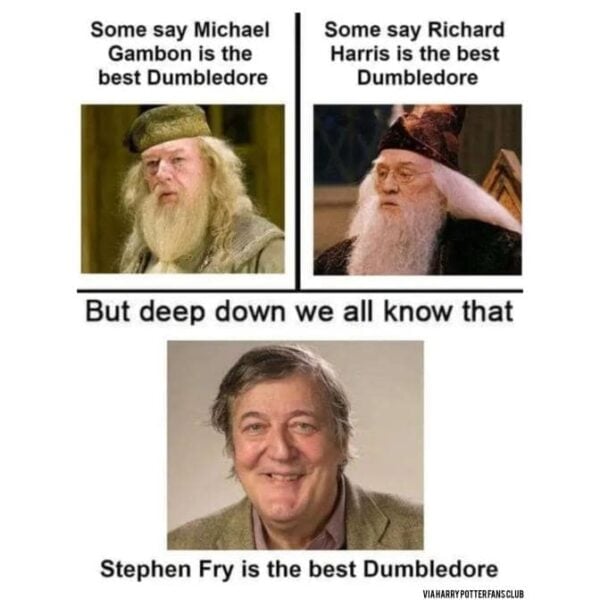 Magically Funny Harry Potter Posts and Memes