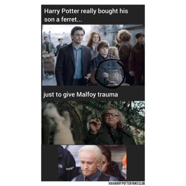 Harry Potter Funny Memes and Jokes: Expelliarmus! Leave Everything
