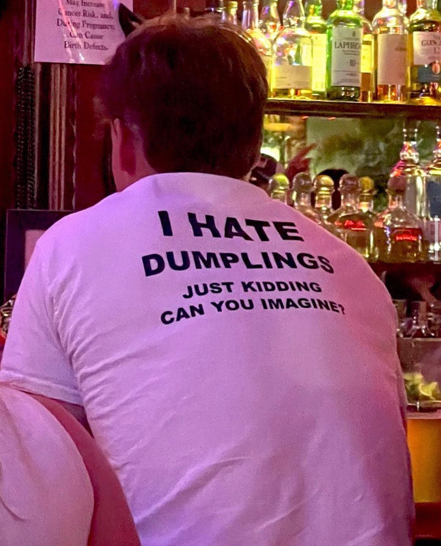 inappropriate shirts I HATE DUMPLINgS JUST KIDDING CAN YOU IMAGINE