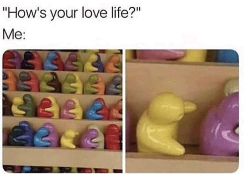 "How's your love life?" Me: