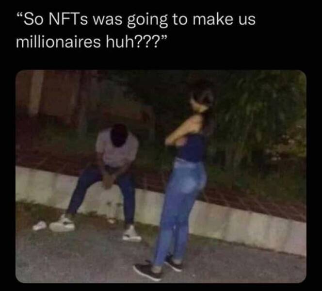 funny memes "So NFTs was going to make us millionaires huh???"