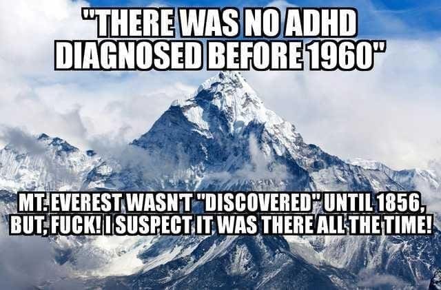 memes funny üTHEREWASNOADHD DIAGNOSED BEFORE 1960° MITEVERESTWASNT-DISCOVERED~UNTIL1656-BUT, FUCK I SUSPECT IT WAS THERE ALL THE TIME!