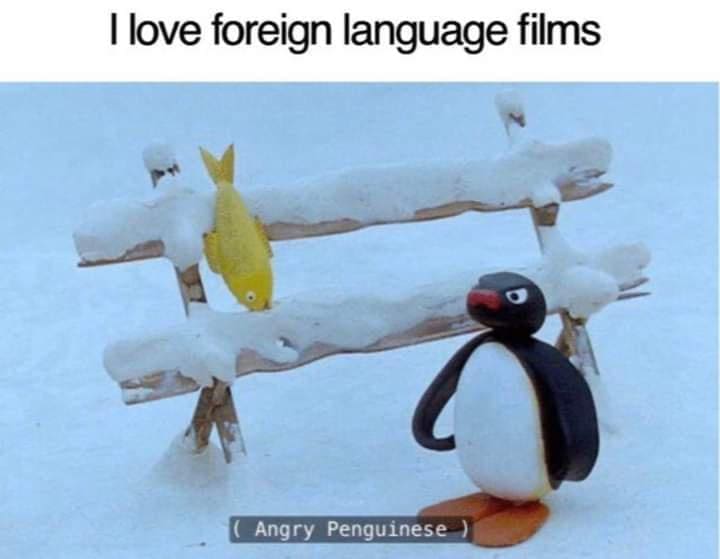 bird memes I love foreign language films ( Angry Penguinese )