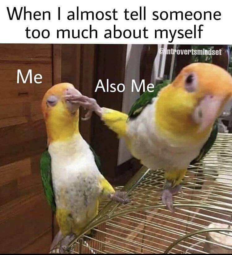bird memes When I almost tell someone too much about myself introvertsmindset Me Also Me