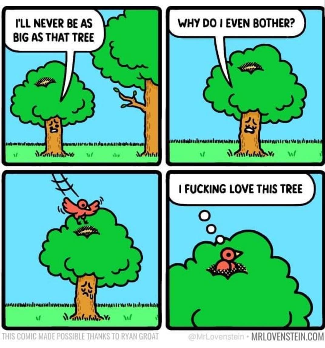 bird memes I'LL NEVER BE AS BIG AS THAT TREE WHY DO I EVEN BOTHER? I LOVE THIS TREE