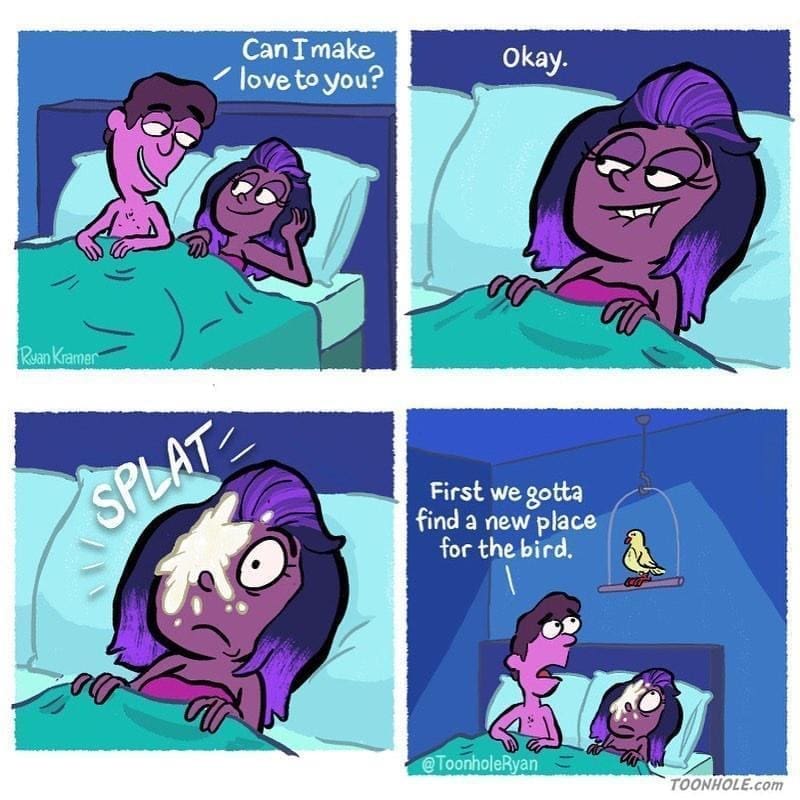 bird memes Can I make love to you? Okay. Ruan Kramer First we gotta find a new place for the bird.