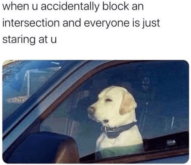 driving memes when u accidentally block an intersection and everyone is just staring at u