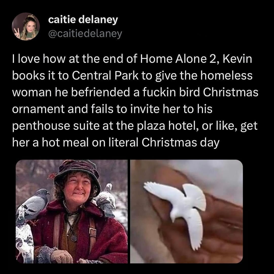 funny memes caitie delaney @caitiedelaney I love how at the end of Home Alone 2, Kevin books it to Central Park to give the homeless woman he befriended a fuckin bird Christmas ornament and fails to invite her to his penthouse suite at the plaza hotel, or like, get her a hot meal on literal Christmas day