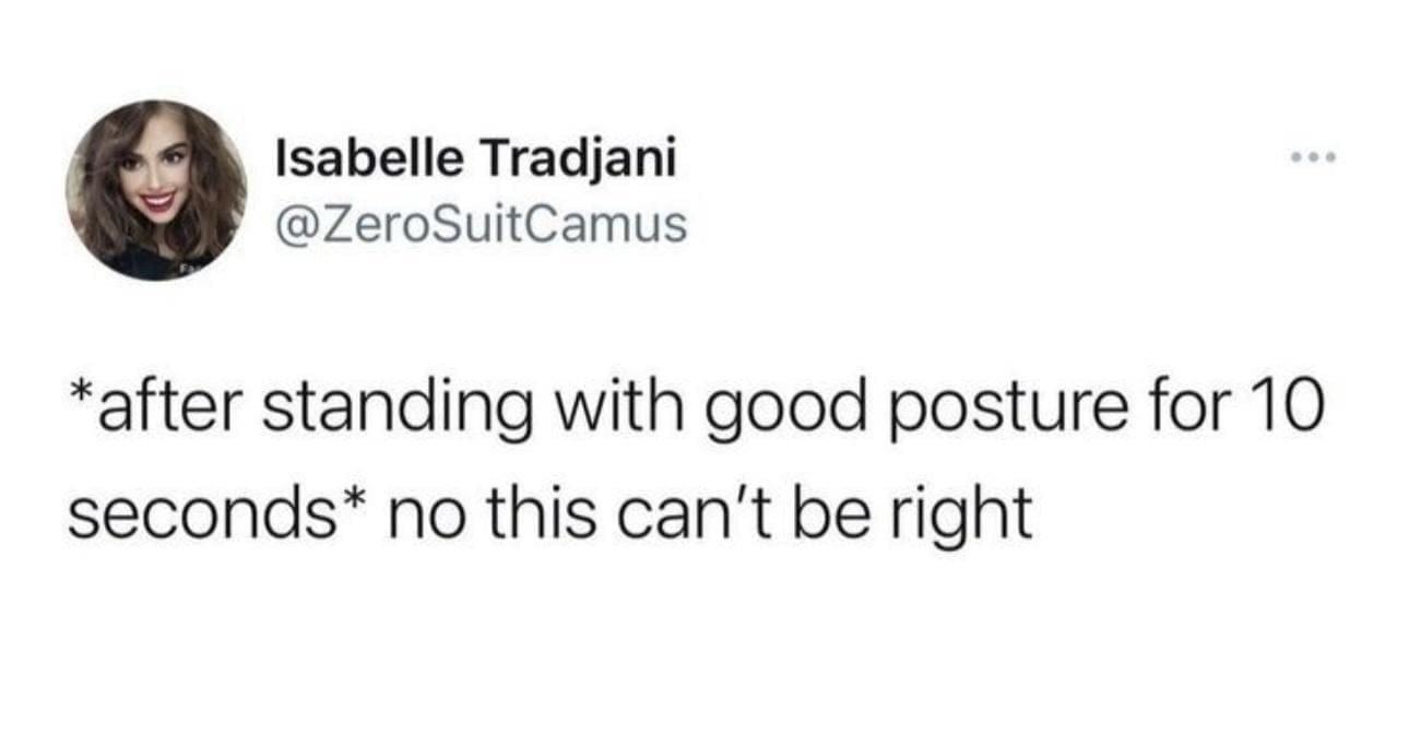 funny memes *after standing with good posture for 10 seconds* no this can't be right