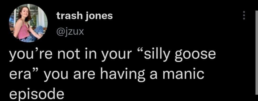 funny pics you're not in your "silly goose era" you are having a manic episode