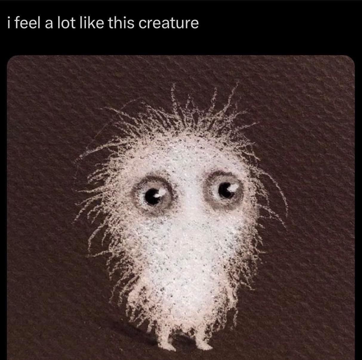 funny pictures i feel a lot like this creature