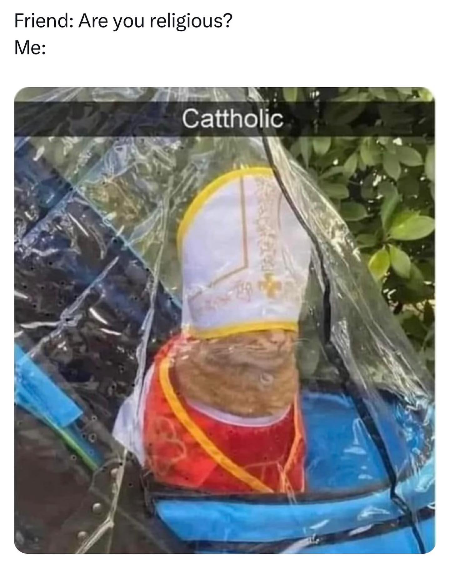 funny pictures Friend: Are you religious? Me: Catholic