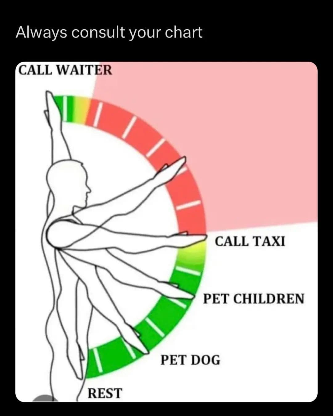 funny pictures Always consult your chart ALL WAITER CALL TAXI PET CHILDREN PET DOG REST