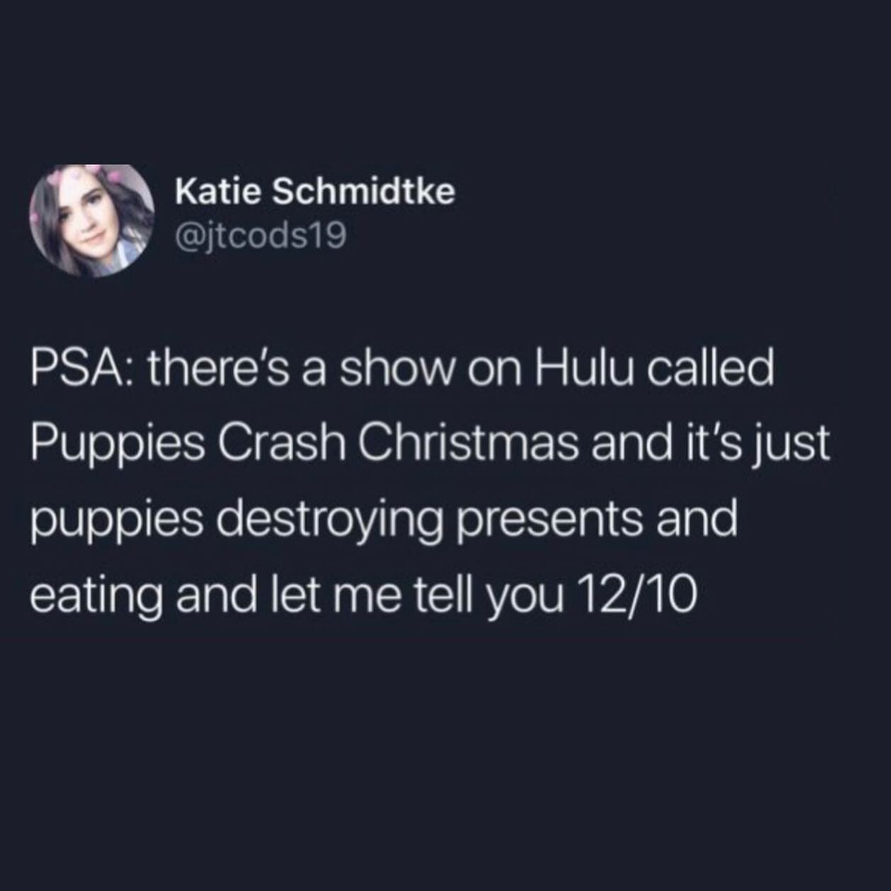 funny pictures Katie Schmidtke @itcods19 PSA: there's a show on Hulu called Puppies Crash Christmas and it's just puppies destroying presents and eating and let me tell you 12/10