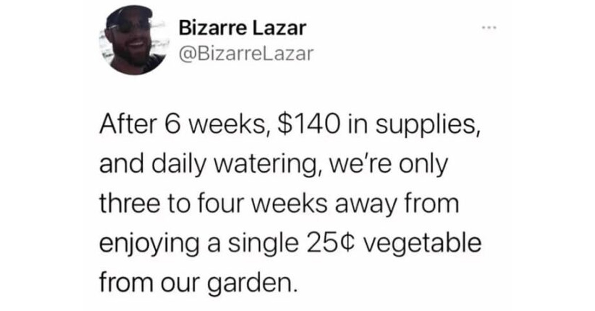 A Gardening Meme Dump: Because Plants Deserve a Good Laugh Too