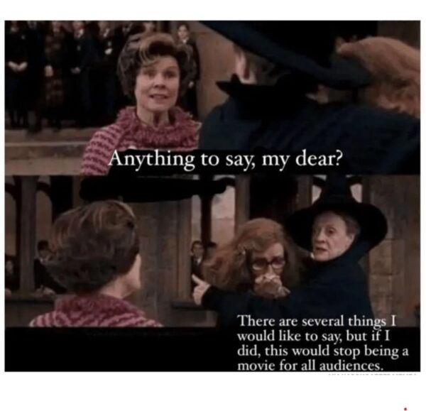 40 Harry Potter Memes To Wingard Your Leviosa