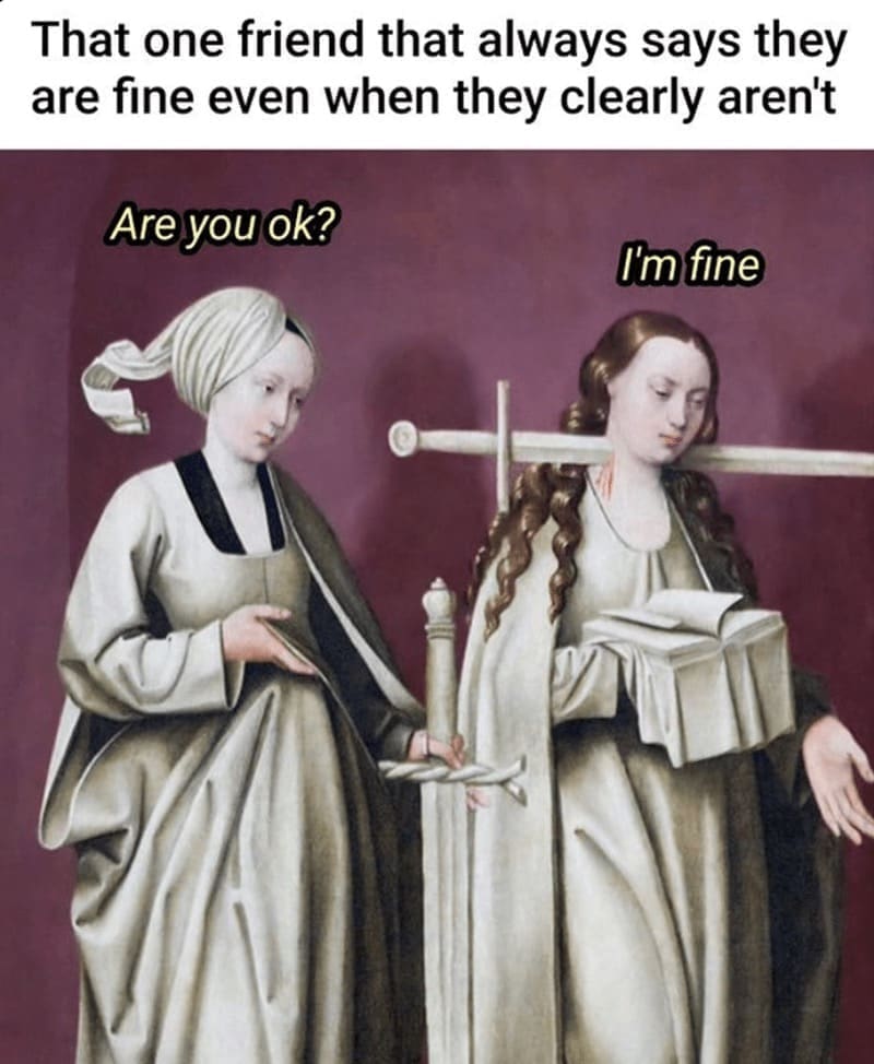 introvert memes That one friend that always says they are fine even when they clearly aren't Are you ok? I'm fine