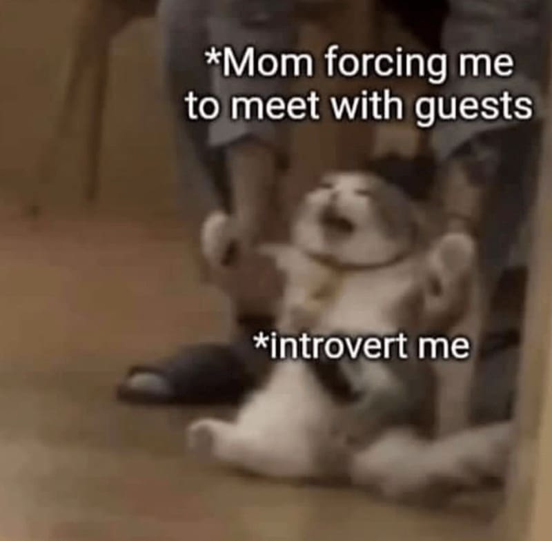introvert memes *Mom forcing me to meet with guests *introvert me