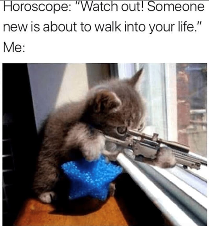 introvert memes Horoscope: "Watch out! Someone new is about to walk into your life." Me:
