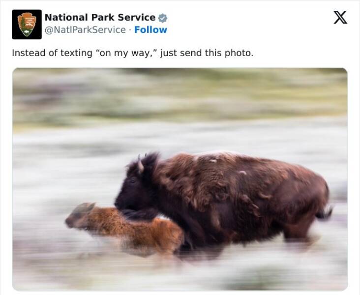 national park service tweets Instead of texting "on my way," just send this photo.