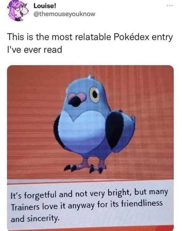 pokemon memes