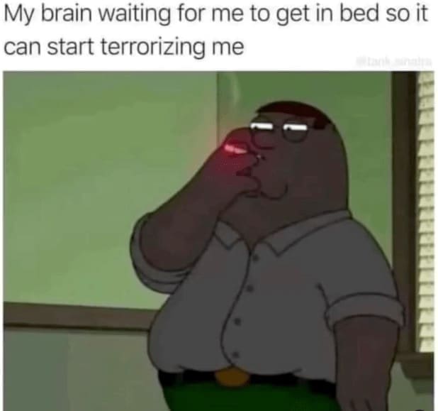 self deprecating memes My brain waiting for me to get in bed so it can start terrorizing me
