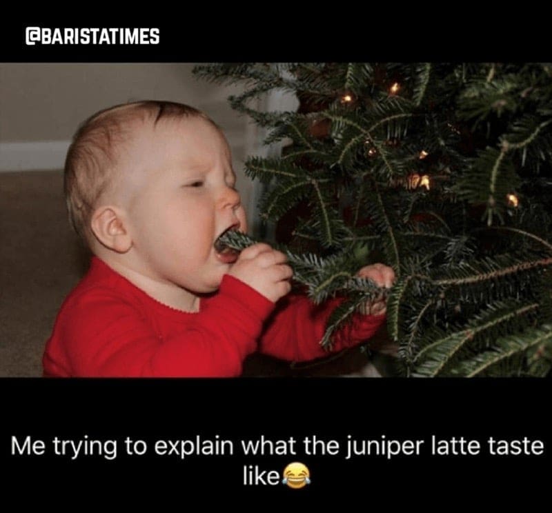Barista Memes Me trying to explain what the juniper latte taste like