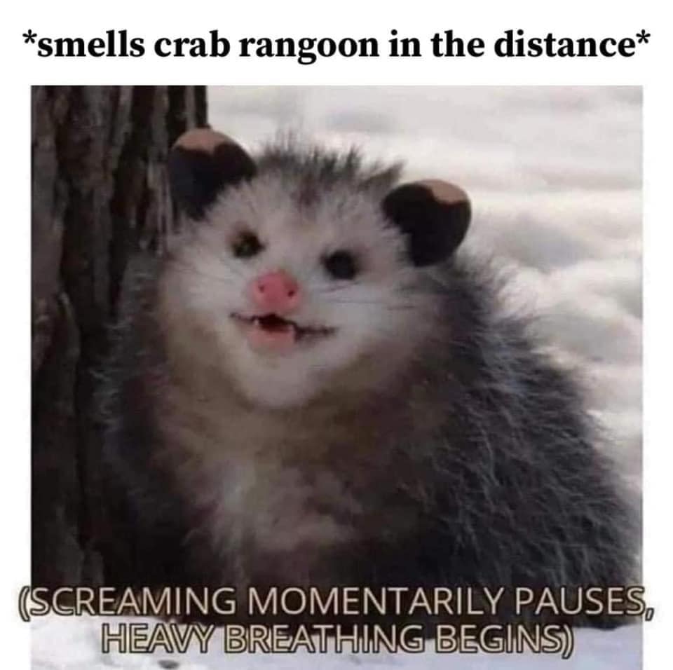 classic memes, meme nostalgia