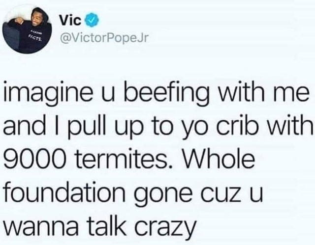 oddly specific memes imagine u beefing with me and I pull up to yo crib with 9000 termites. Whole foundation gone cuz u wanna talk crazy