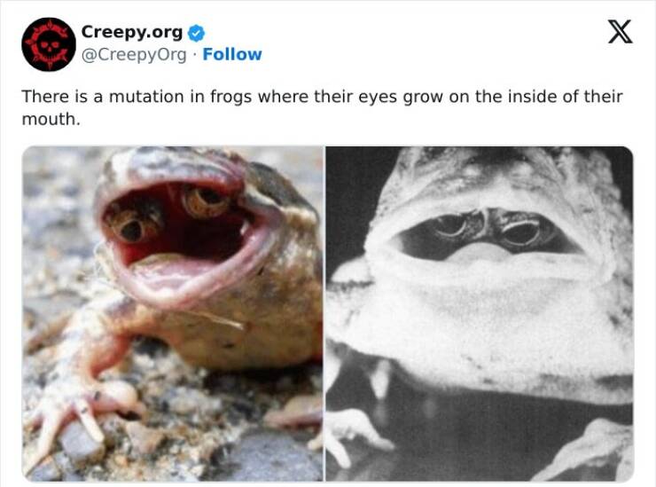 Creepy posts There is a mutation in frogs where their eyes grow on the inside of their mouth.
