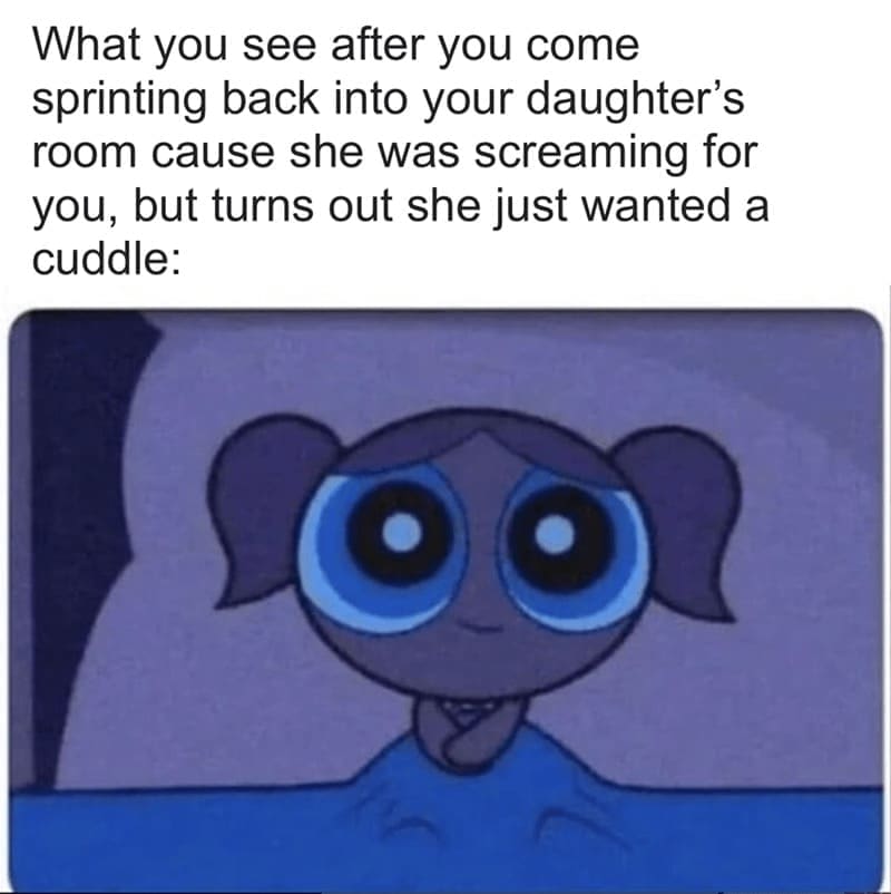 Daughter memes What you see after you come sprinting back into your daughter's room cause she was screaming for you, but turns out she just wanted a cuddle: