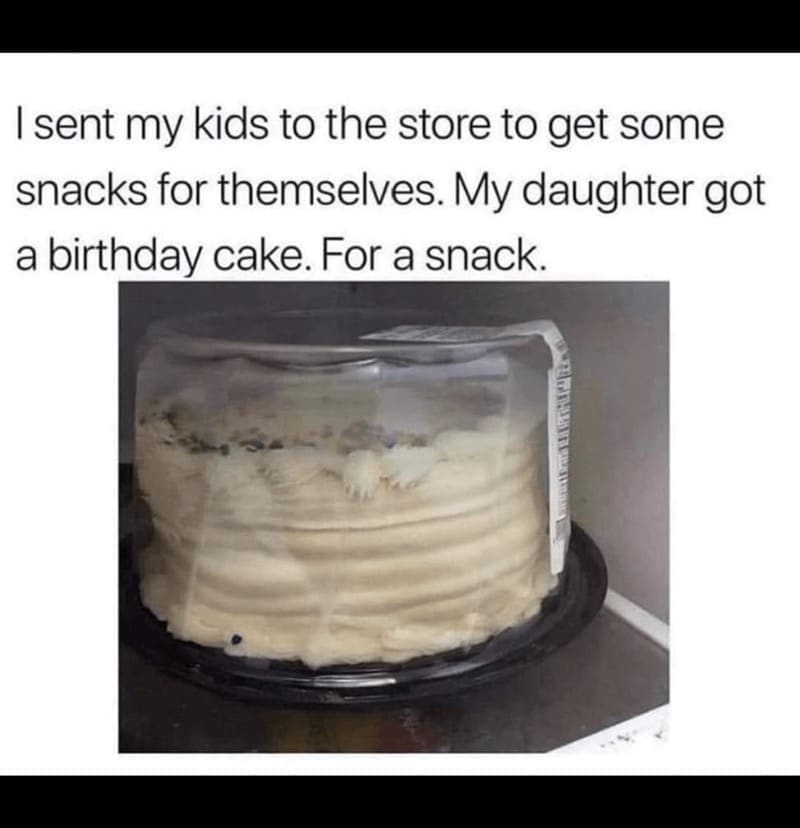 Daughter memes I sent my kids to the store to get some snacks for themselves. My daughter got a birthday cake. For a snack.