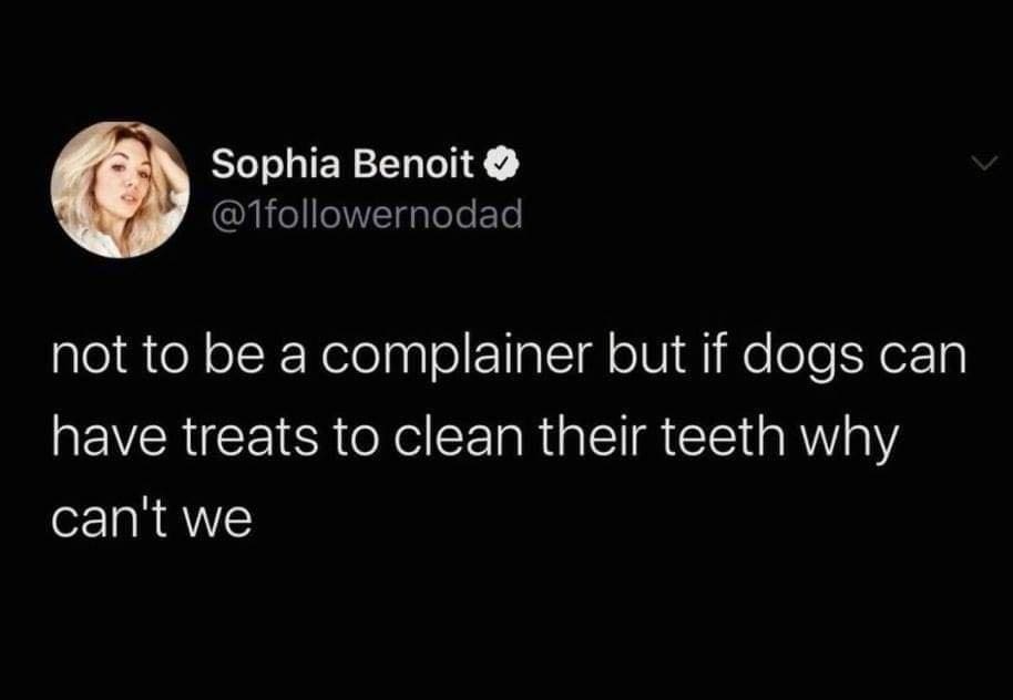 Dentist memes not to be a complainer but if dogs can have treats to clean their teeth why can't we
