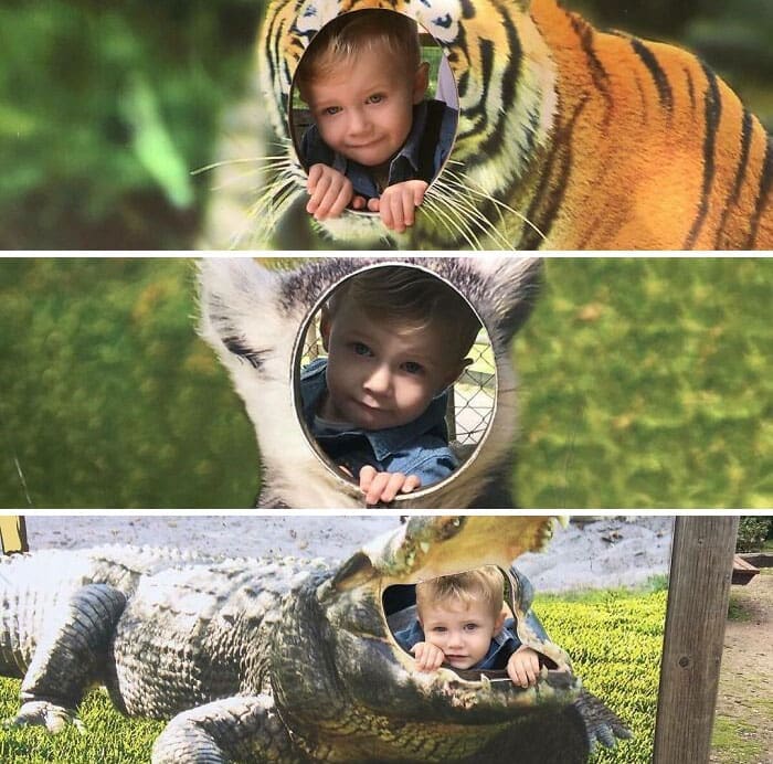 Funny face cutouts zoo