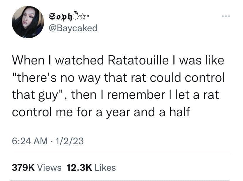 funny memes When I watched Ratatouille I was like "there's no way that rat could control that guy", then I remember I let a rat control me for a year and a half