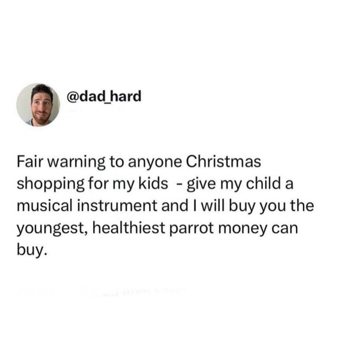 funny memes Fair warning to anyone Christmas shopping for my kids - give my child a musical instrument and I will buy you the youngest, healthiest parrot money can buy.