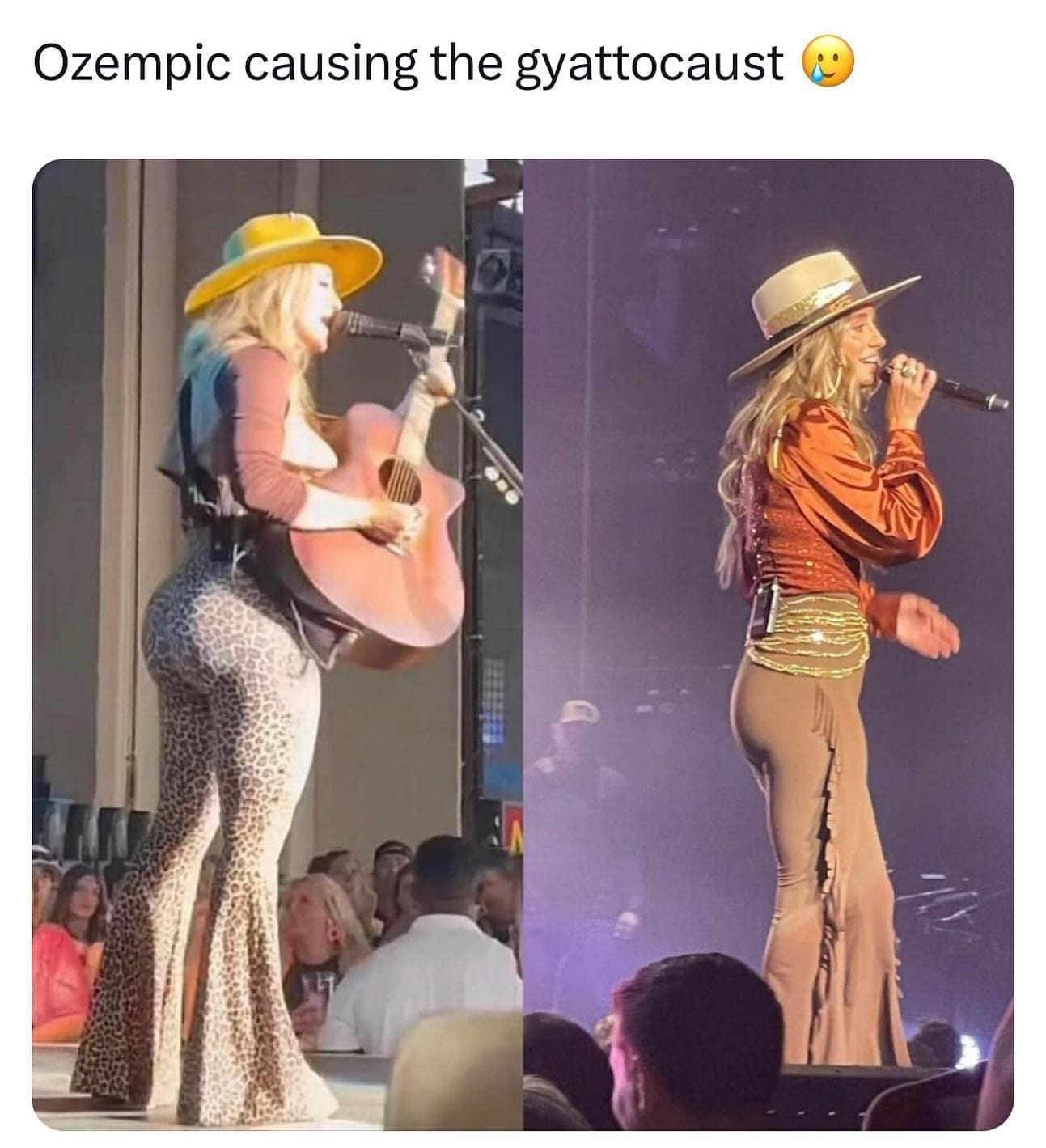 funny memes Ozempic causing the gyattocaust